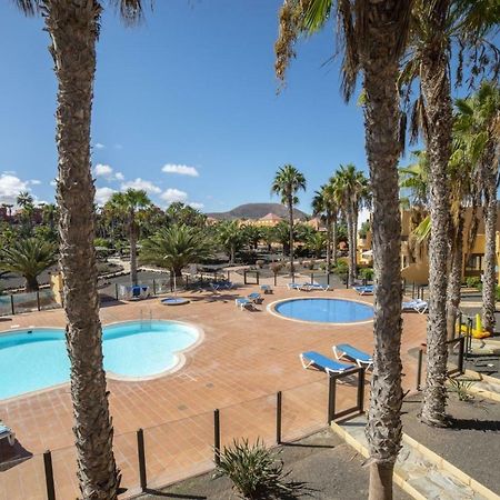 Lightbooking Oasis Royal Corralejo F311 Kültér fotó