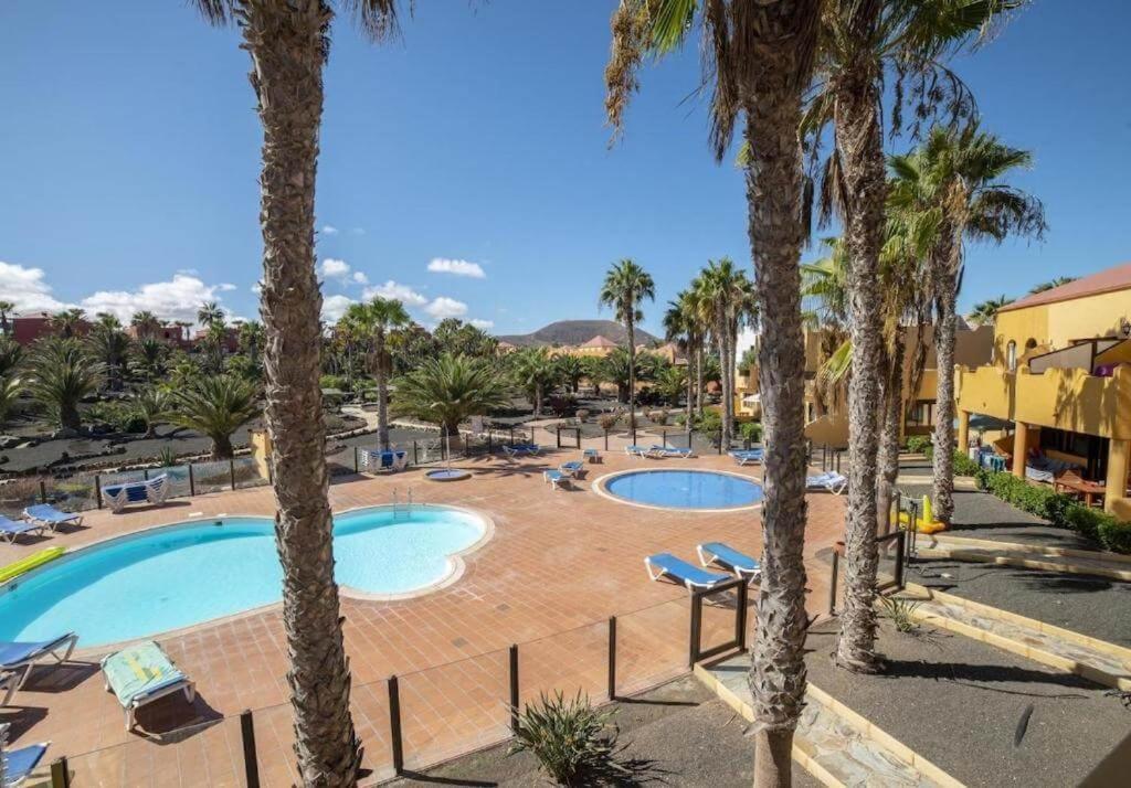 Lightbooking Oasis Royal Corralejo F311 Kültér fotó